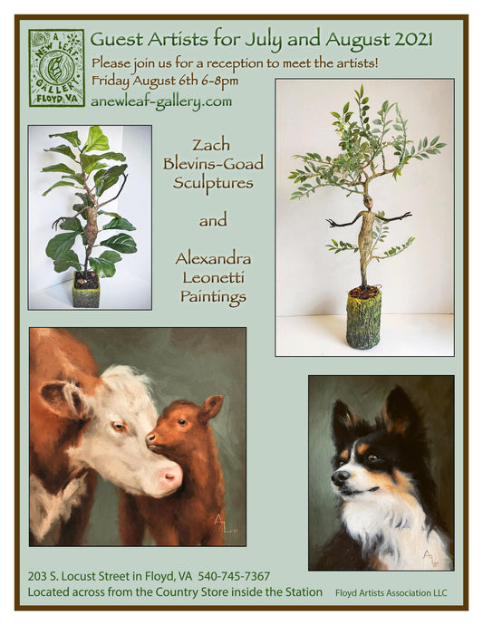 July and August Bring Excitement with New & Interesting Guest Artists!