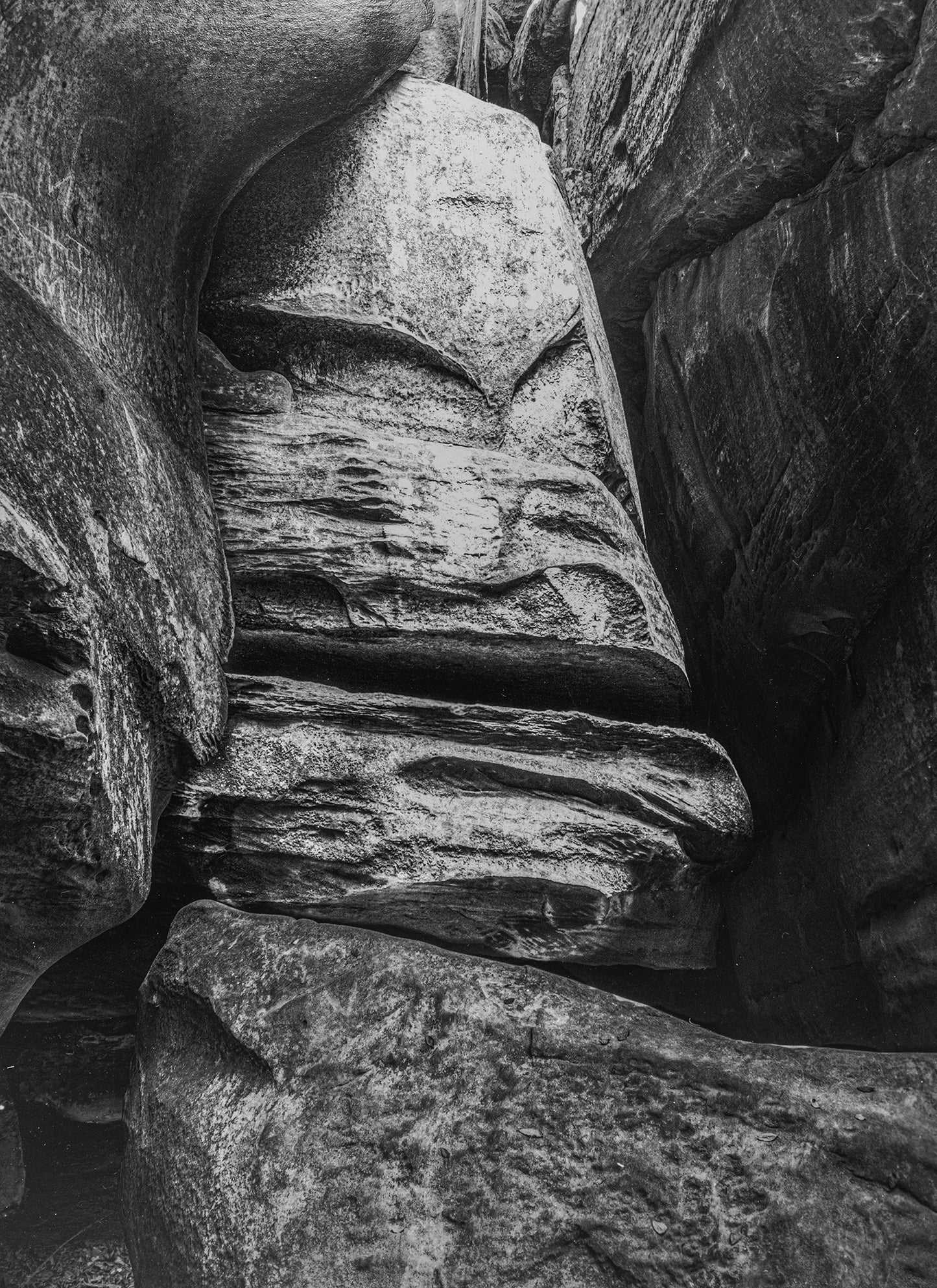 "Guardian of the Channels" by Dan Henderson - photography