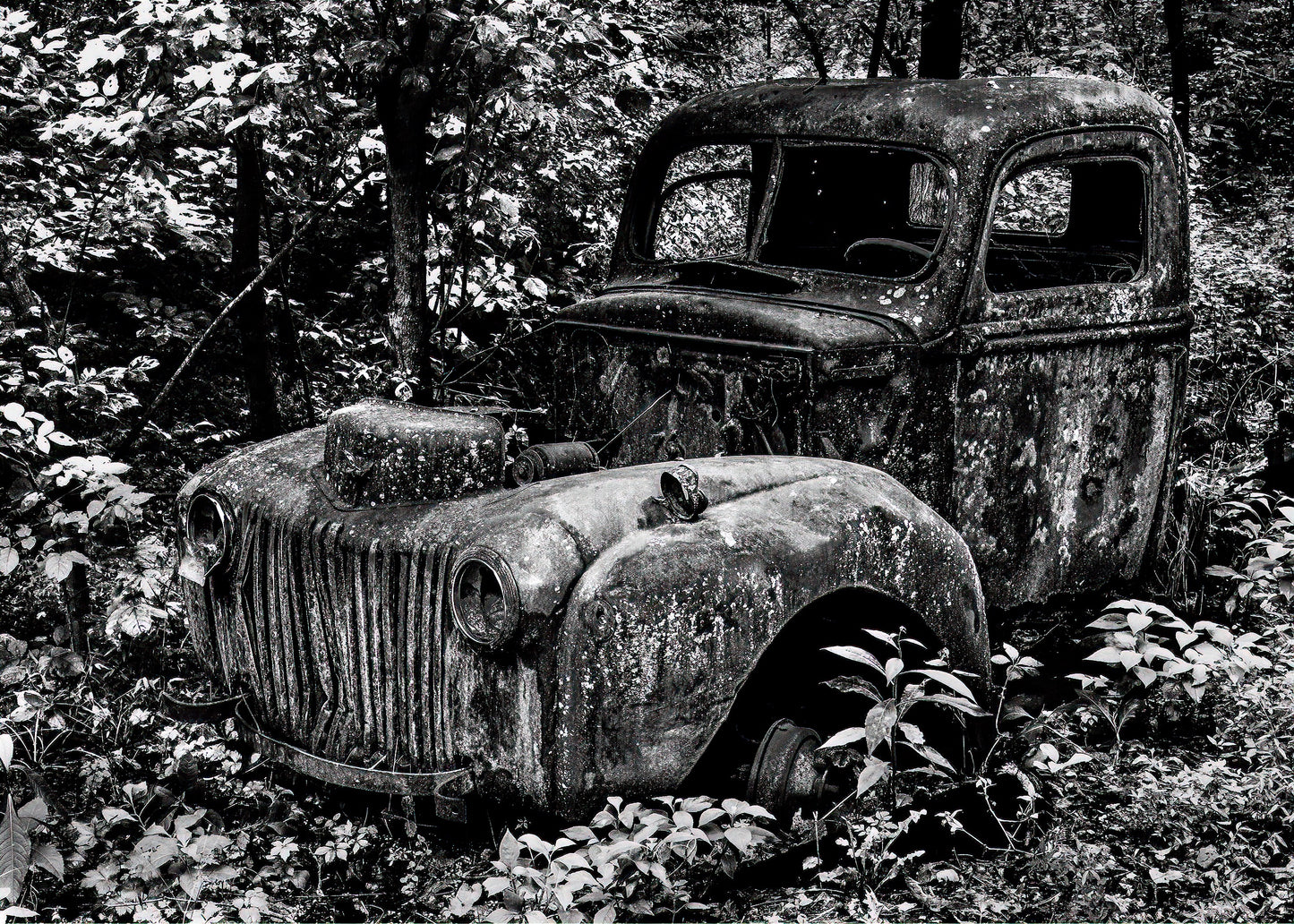 "Truck; Spec Mine" by Dan Henderson