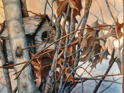 "Backwoods Housing" by Lori Sutphin