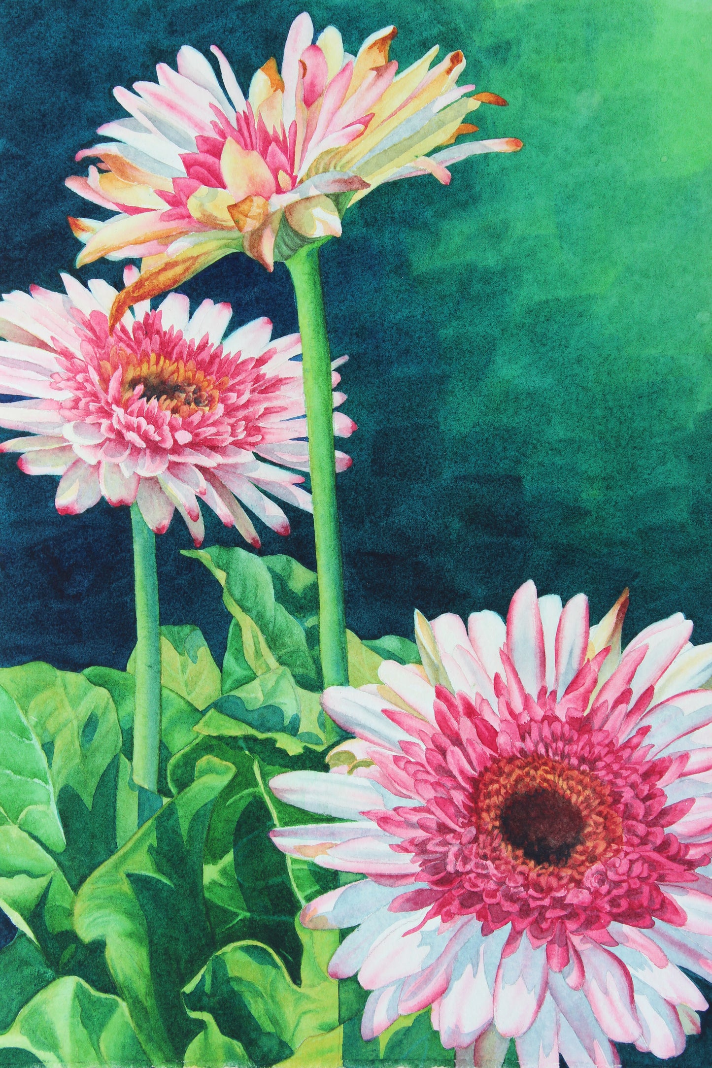 "Daisy May" by Lori Sutphin
