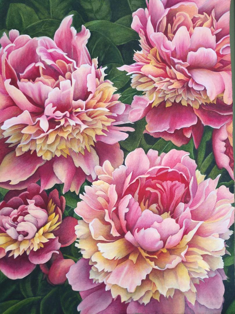 "Peony Power" by Lori Sutphin - Watercolor