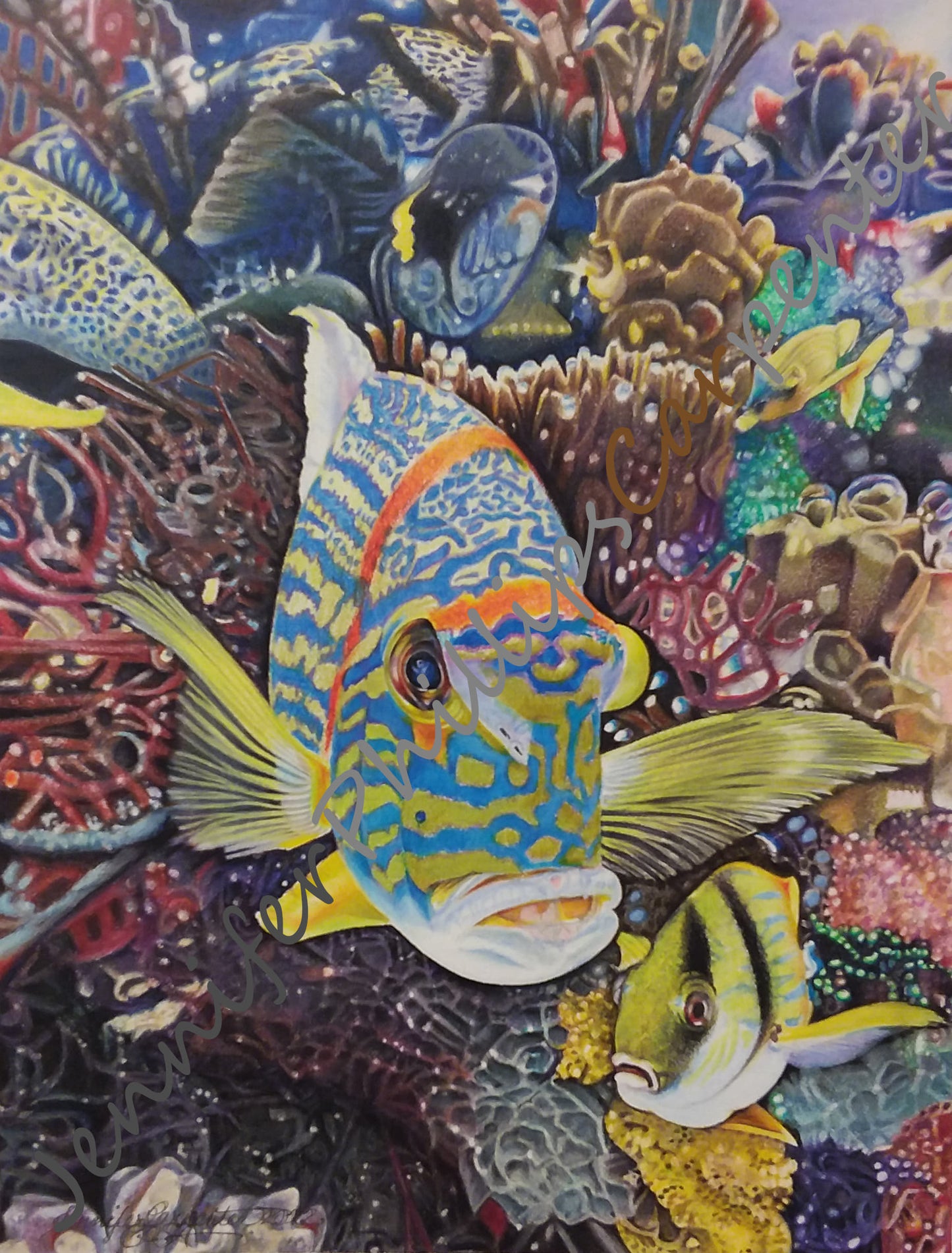 "Underdahsea" by Jennifer Carpenter - Reproduction