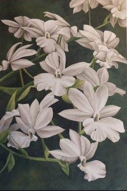 "White Orchids" by Lori Sutphin - Watercolor Print