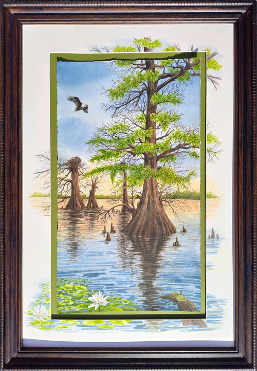 "Cypress on the Lake" by Lori Sutphin - Watercolor