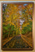 "Leaf Path" by Joe Rees-Framed Canvas Print-Pos Online