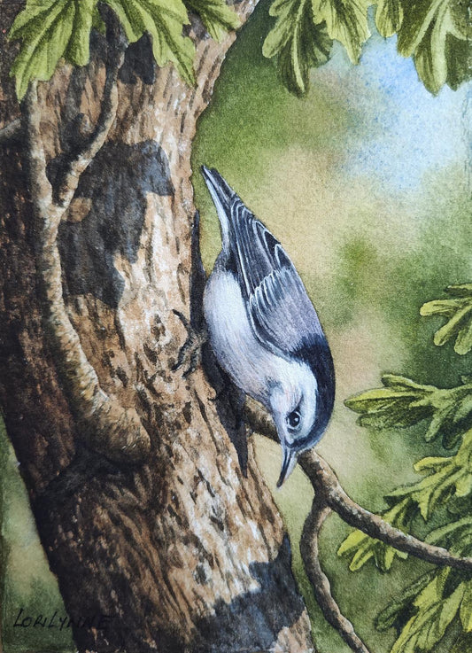 "Going Down" by Lori Sutphin - Watercolor