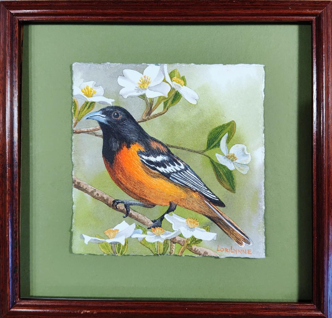 "Series of 4 Bird Paintings" by Lori Sutphin Watercolor