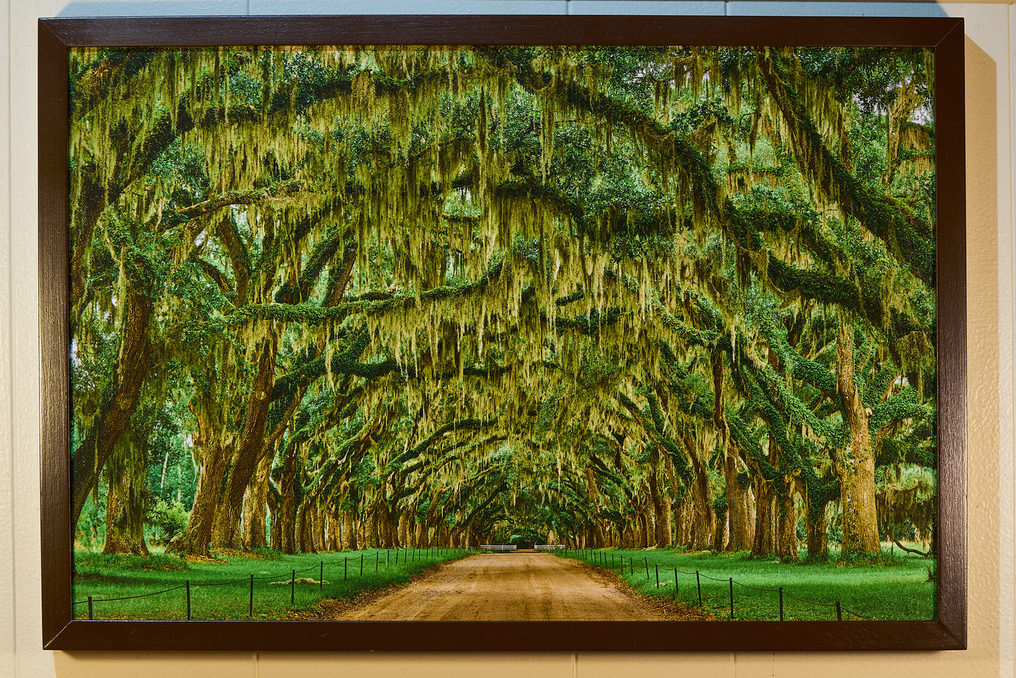 "Wormsloe State Park" by Joe Rees - Photograph on Canvas - Online