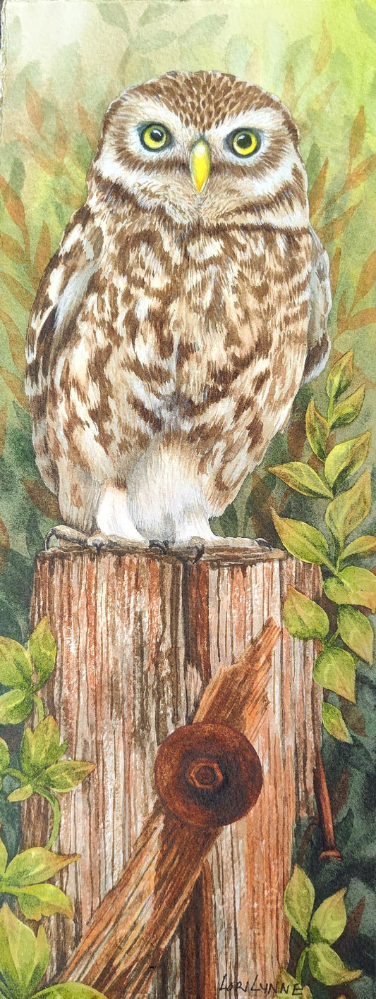 "You Lookin' at Me" by Lori Sutphin - Watercolor