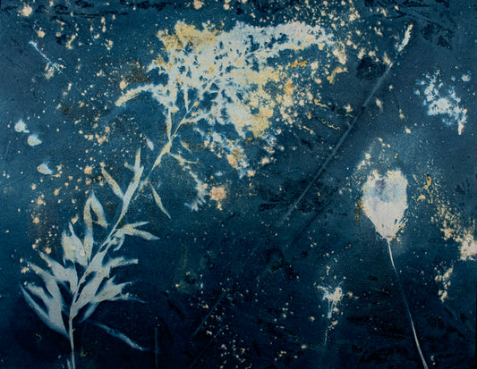 "Summer's End" by Dan Henderson - Photography