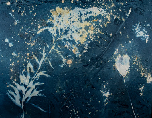 "Summer's End" by Dan Henderson - photography