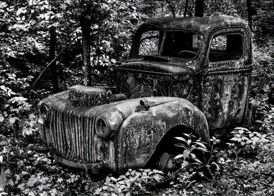 "Truck; Spec Mine" by Dan Henderson