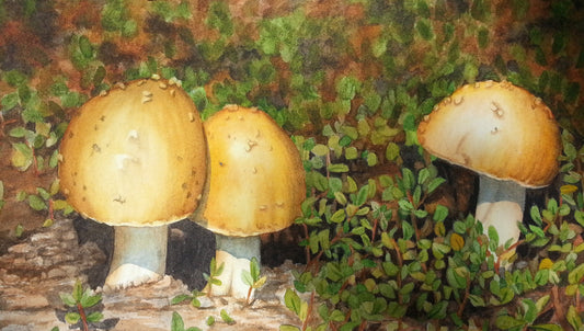 "Hi Friends" by Lori Lynne Sutphin