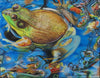 "Toadally Awesome" by Jennifer Carpenter - Colored Pencil