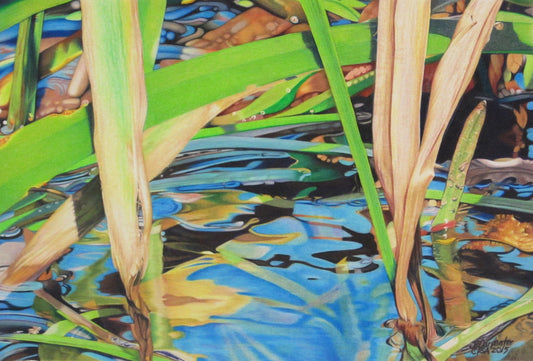 "A Marsh, A Marsh, A Marsh" by Jennifer Carpenter - giclee reproduction