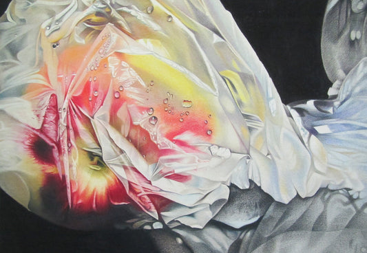 "Fresh Produce" by Jennifer Carpenter - colored pencil reproduction