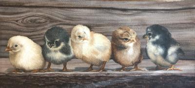"The Newcomers" by Lori Sutphin