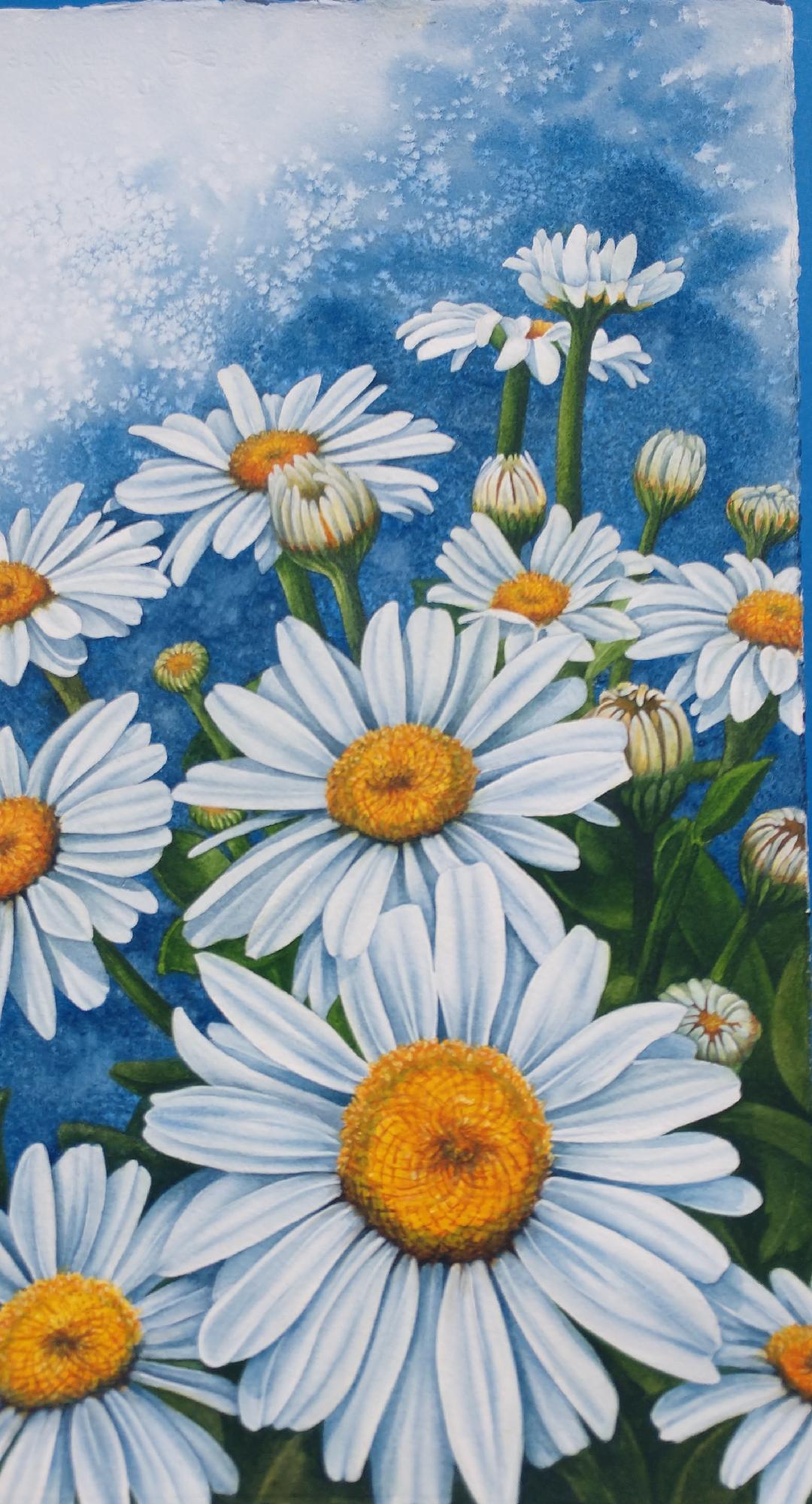 "Pushing Up Daisies" by Lori Sutphin