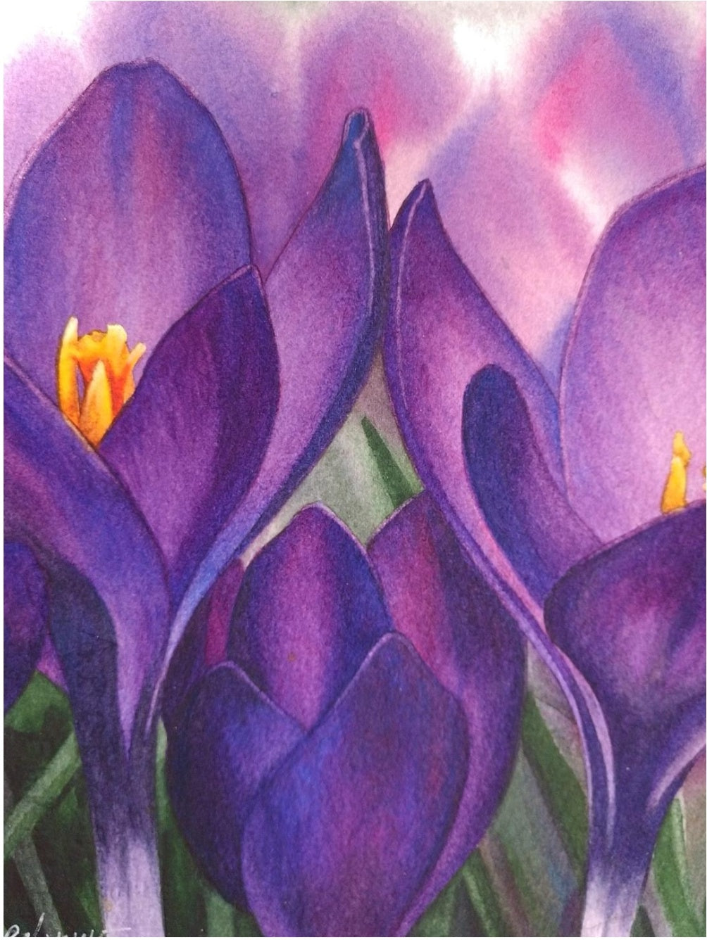 "Crocus Trio" by Lori Sutphin