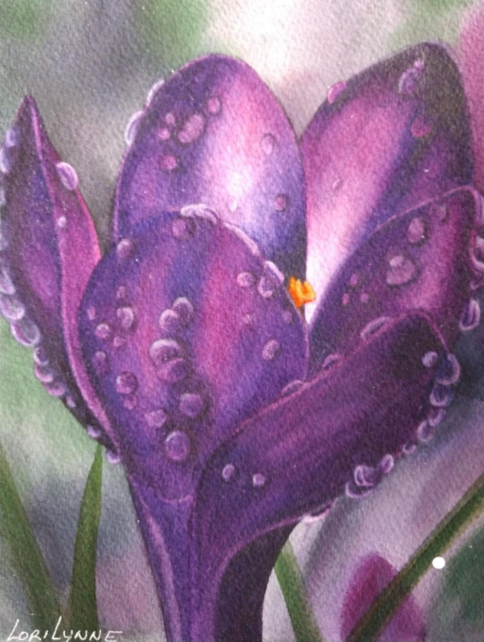 "Crocus Trio" by Lori Sutphin