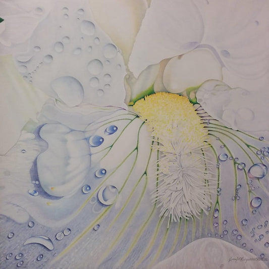 "The Bearded Lady" by Jennifer Carpenter - Colored Pencil
