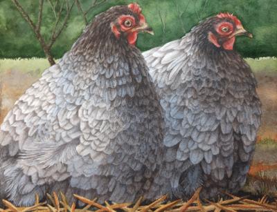 "The Puff Girls" by Lori Sutphin - Original Watercolor