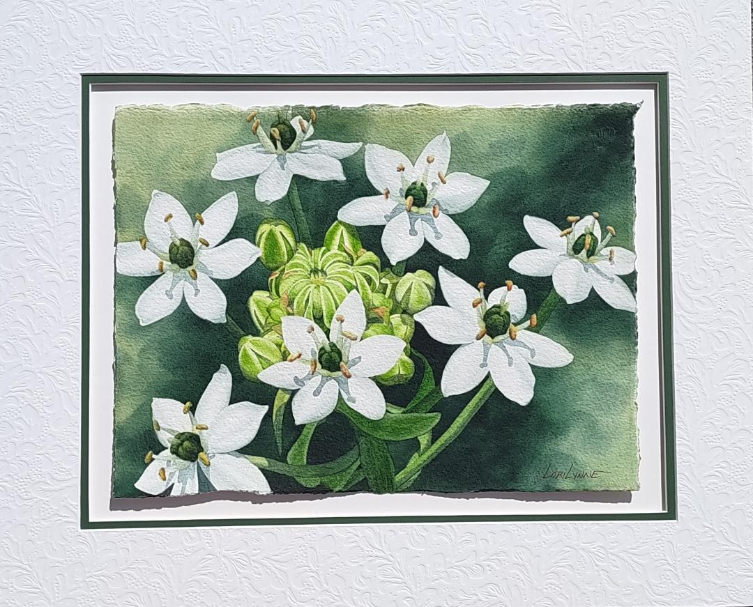 "White and Green Orchid" by Lori Sutphin - Watercolor