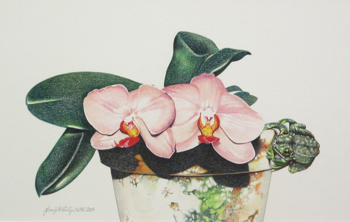 "You Don't Bring Me Flowers Anymore, You Toad" by Jennifer Carpenter - giclee reproduction